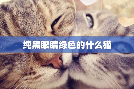純黑眼睛綠色的什么貓