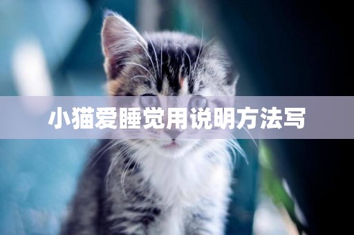 小貓愛睡覺用說明方法寫