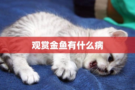 觀賞金魚有什么病