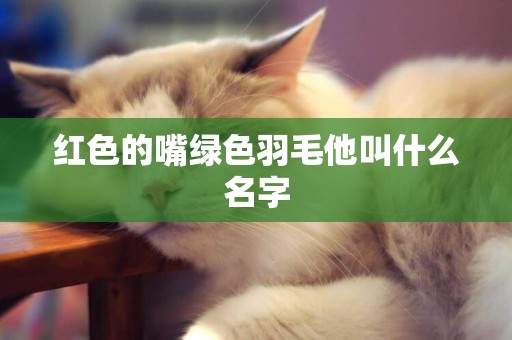 紅色的嘴綠色羽毛他叫什么名字