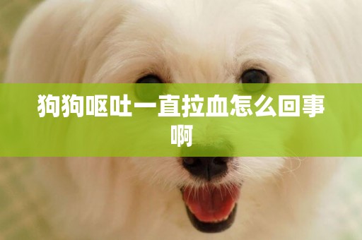 狗狗嘔吐一直拉血怎么回事啊