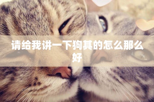 請給我講一下狗其的怎么那么好
