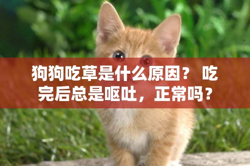 狗狗吃草是什么原因？ 吃完后總是嘔吐，正常嗎？