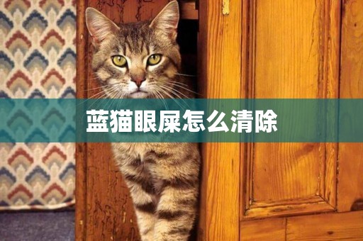 藍貓眼屎怎么清除