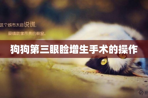 狗狗第三眼瞼增生手術的操作
