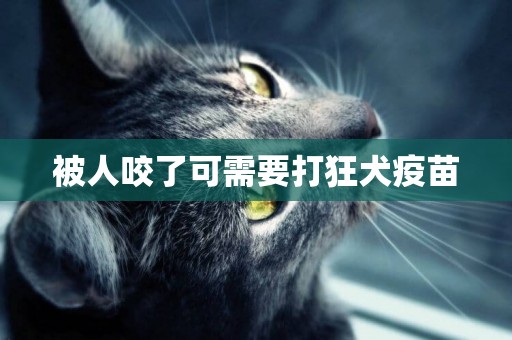 被人咬了可需要打狂犬疫苗