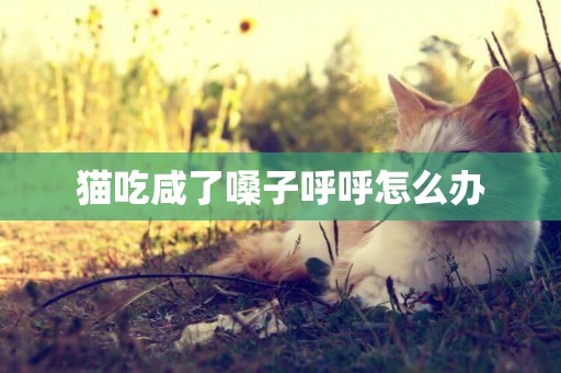 貓吃咸了嗓子呼呼怎么辦