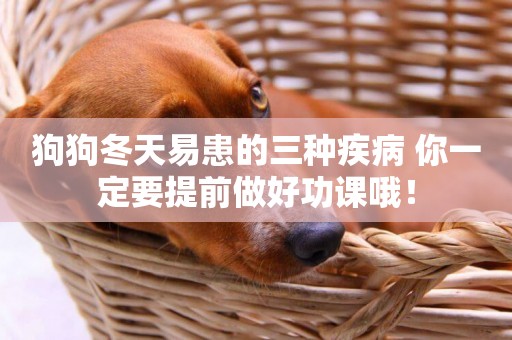 狗狗冬天易患的三種疾病 你一定要提前做好功課哦！