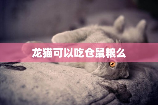 龍貓可以吃倉鼠糧么
