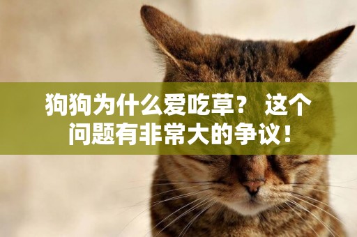 狗狗為什么愛吃草？ 這個問題有非常大的爭議！