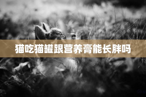貓吃貓罐跟營養膏能長胖嗎