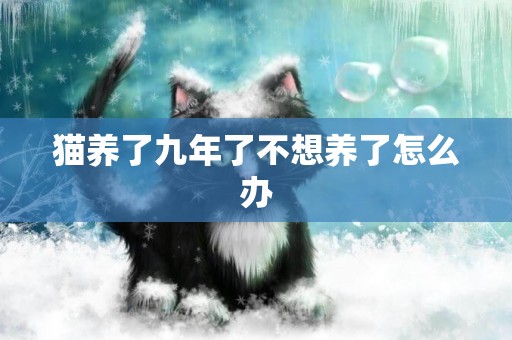 貓養了九年了不想養了怎么辦