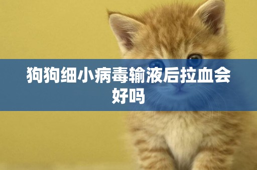 狗狗細小病毒輸液后拉血會好嗎