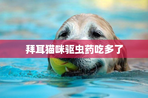 拜耳貓咪驅蟲藥吃多了