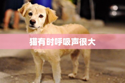 貓有時呼吸聲很大