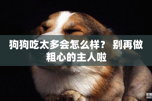 狗狗吃太多會怎么樣？ 別再做粗心的主人啦