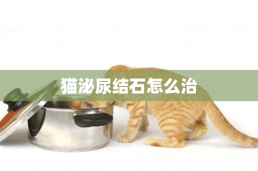 貓泌尿結石怎么治