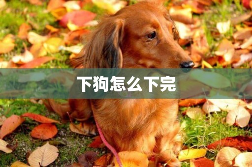 下狗怎么下完