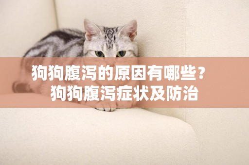 狗狗腹瀉的原因有哪些？ 狗狗腹瀉癥狀及防治