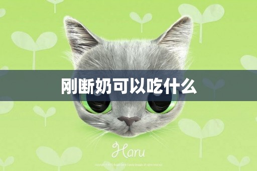 剛斷奶可以吃什么