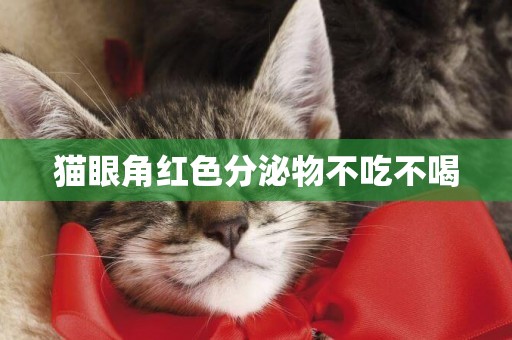 貓眼角紅色分泌物不吃不喝