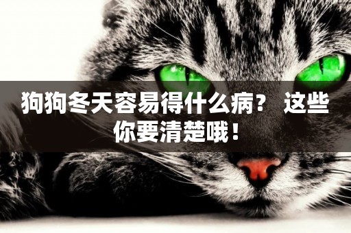 狗狗冬天容易得什么病？ 這些你要清楚哦！