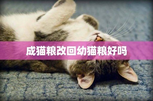 成貓糧改回幼貓糧好嗎