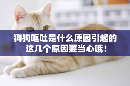 狗狗嘔吐是什么原因引起的 這幾個原因要當心哦！