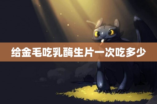 給金毛吃乳酶生片一次吃多少