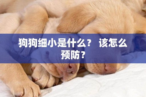 狗狗細小是什么？ 該怎么預防？