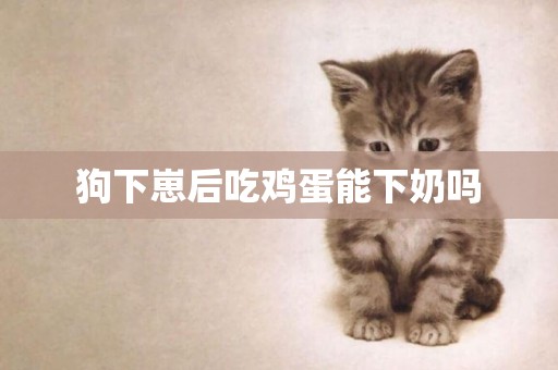 狗下崽后吃雞蛋能下奶嗎