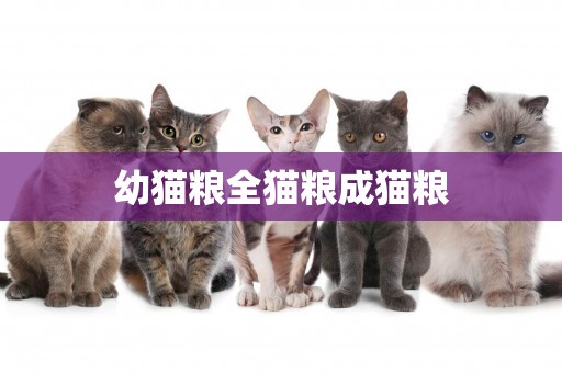 幼貓糧全貓糧成貓糧