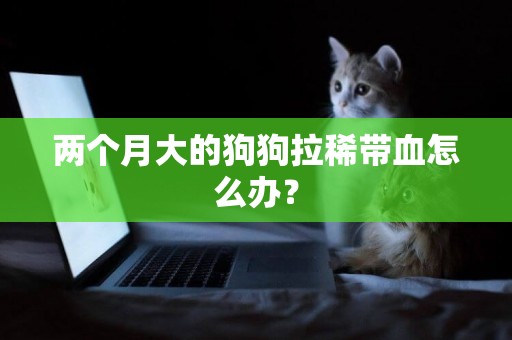 兩個月大的狗狗拉稀帶血怎么辦？