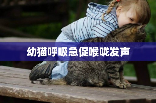 幼貓呼吸急促喉嚨發聲