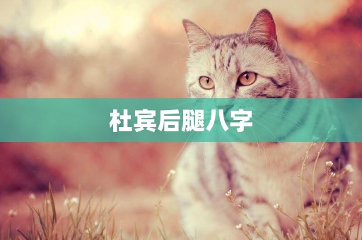 杜賓后腿八字