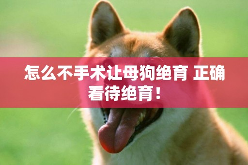怎么不手術讓母狗絕育 正確看待絕育！