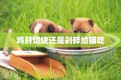 雞肝切塊還是剁碎給貓吃