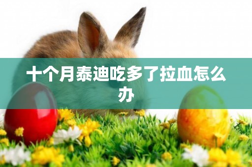 十個月泰迪吃多了拉血怎么辦