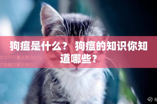 狗瘟是什么？ 狗瘟的知識你知道哪些？