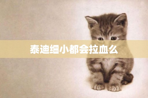 泰迪細小都會拉血么