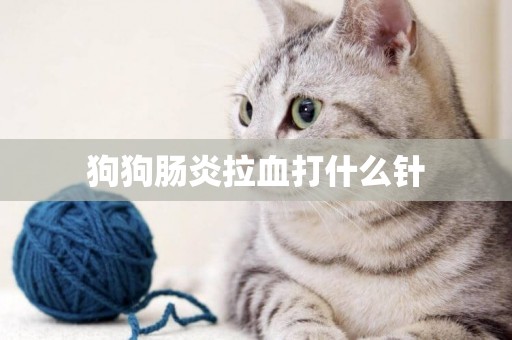 狗狗腸炎拉血打什么針