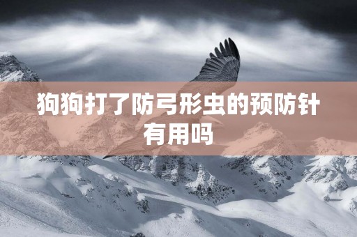 狗狗打了防弓形蟲的預防針有用嗎