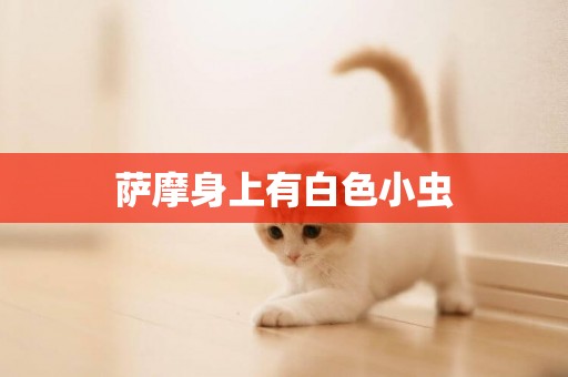 薩摩身上有白色小蟲