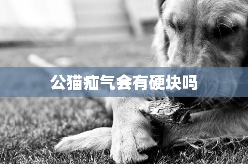 公貓疝氣會有硬塊嗎