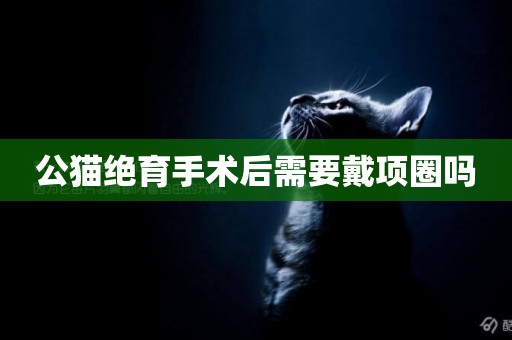 公貓絕育手術后需要戴項圈嗎