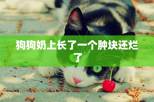 狗狗奶上長了一個腫塊還爛了