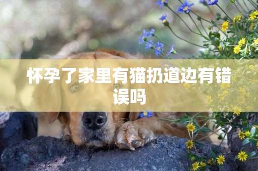 懷孕了家里有貓扔道邊有錯誤嗎