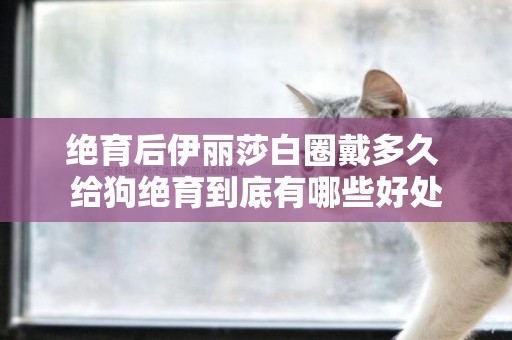 絕育后伊麗莎白圈戴多久 給狗絕育到底有哪些好處