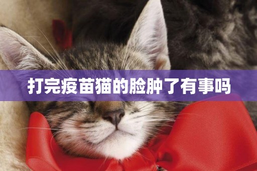 打完疫苗貓的臉腫了有事嗎