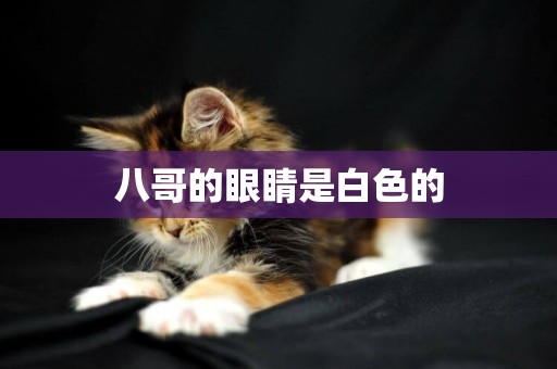 八哥的眼睛是白色的